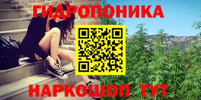 спиды Будённовск